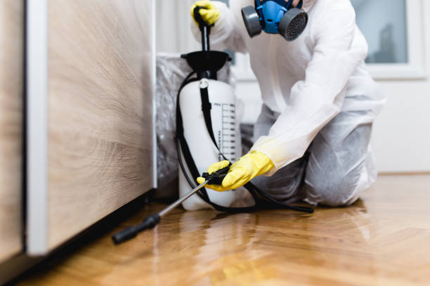 Best Pest Removal Services  in Belmont, CA