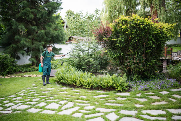 Best Mosquito Control Services  in Belmont, CA