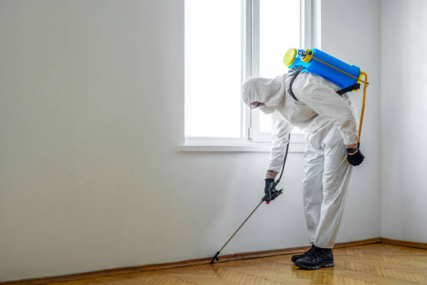Trusted Belmont, CA Pest Control Experts
